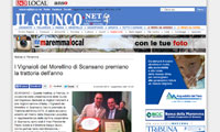 screenshot de Il Giunco.net