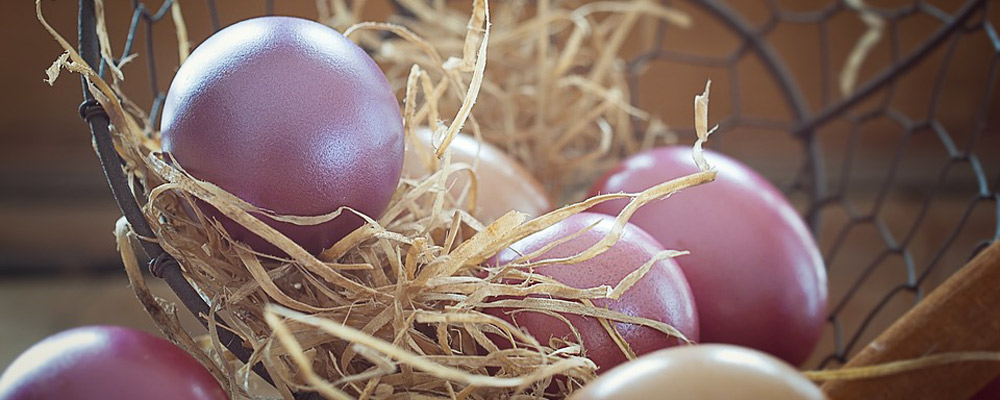 A Pasqua in Maremma è tradizione colorare le uova e farle benedire